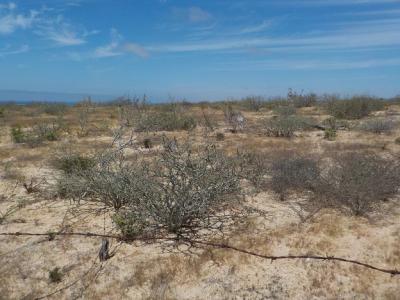 Lots/Land For sale in Todos Santos, Baja California Sur, Mexico - Sin Nombre